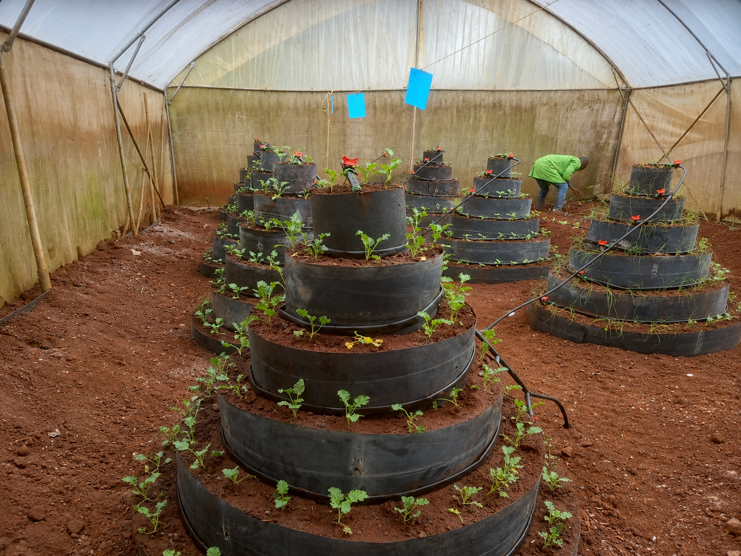 Drip irrigation kit